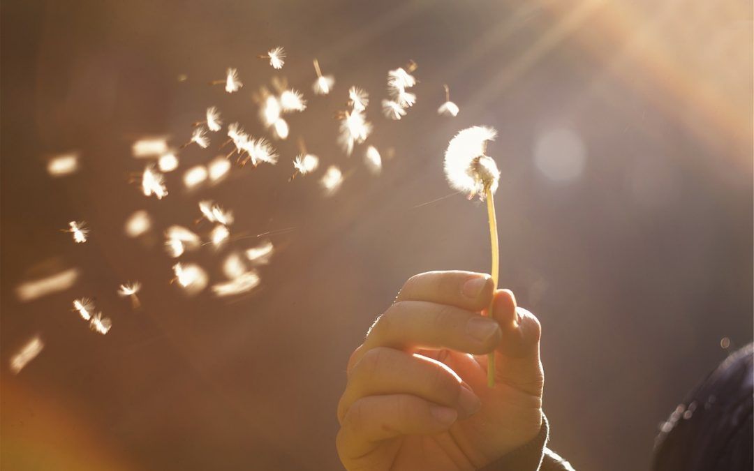 Sin palabras | Poesía