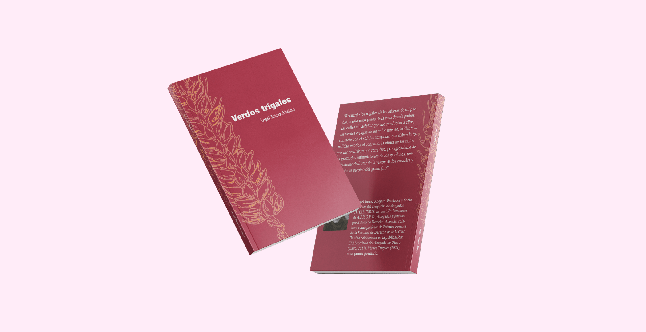 Editorial Design - Illustrations